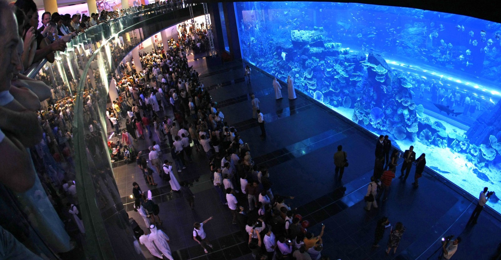 Дубайский аквариум, один из самых больших  в мире.