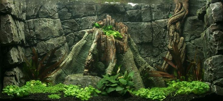 Задний фон для аквариума: фото,видео,подробное описание.