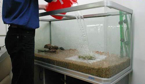 пыльная вода в аквариуме