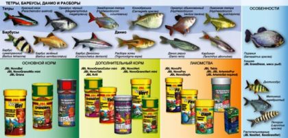 Витамины для аквариумных рыб — обзор,виды