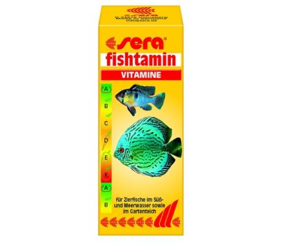 Какие витамины для рыб лучше