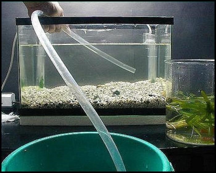 Физические свойства воды в аквариуме