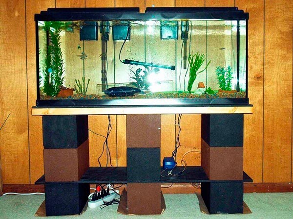 аквариум на полу