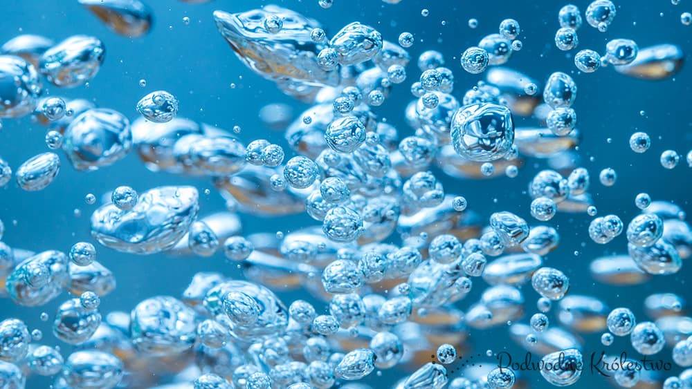 Как позаботиться о правильном количестве кислорода в аквариуме? 