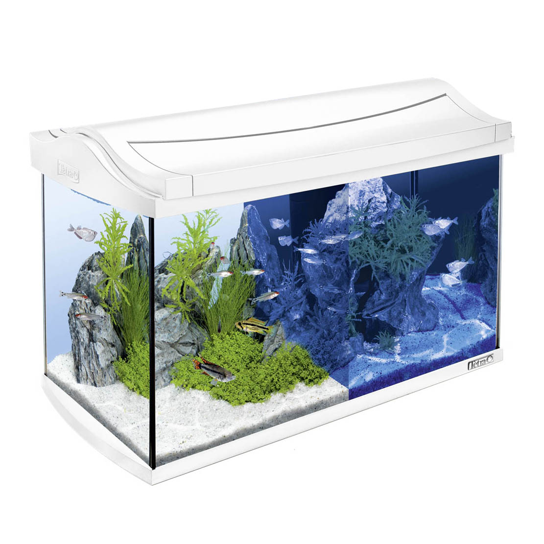 Аквариум — разделение аквариумов по назначению