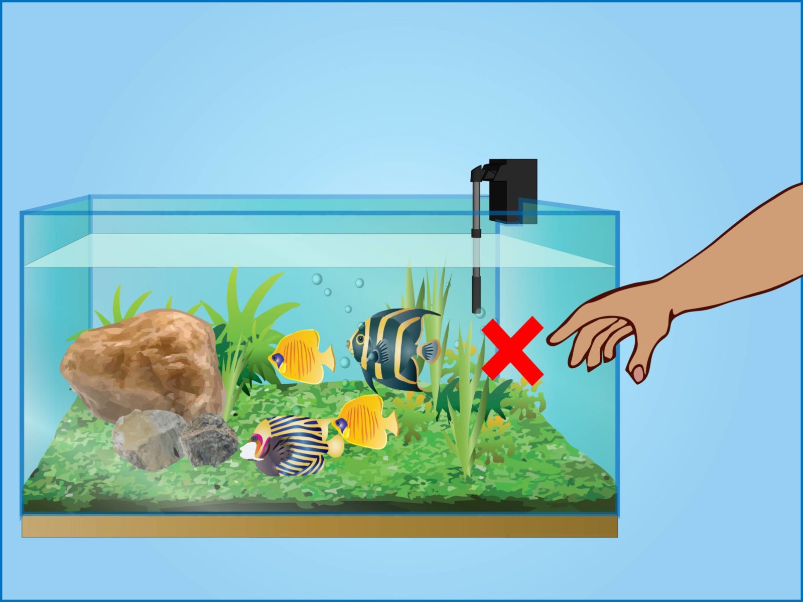 Как правильно вылавливать рыбок из аквариума?