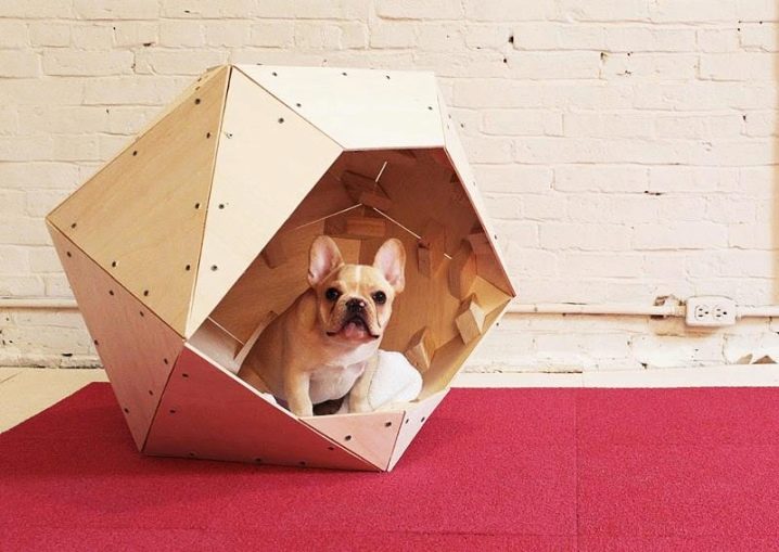 Какой домик для собаки выбрать в квартиру?