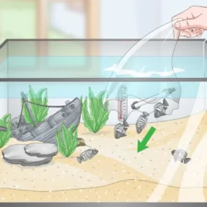 Как очистить аквариум от зеленого налета в домашних условиях
