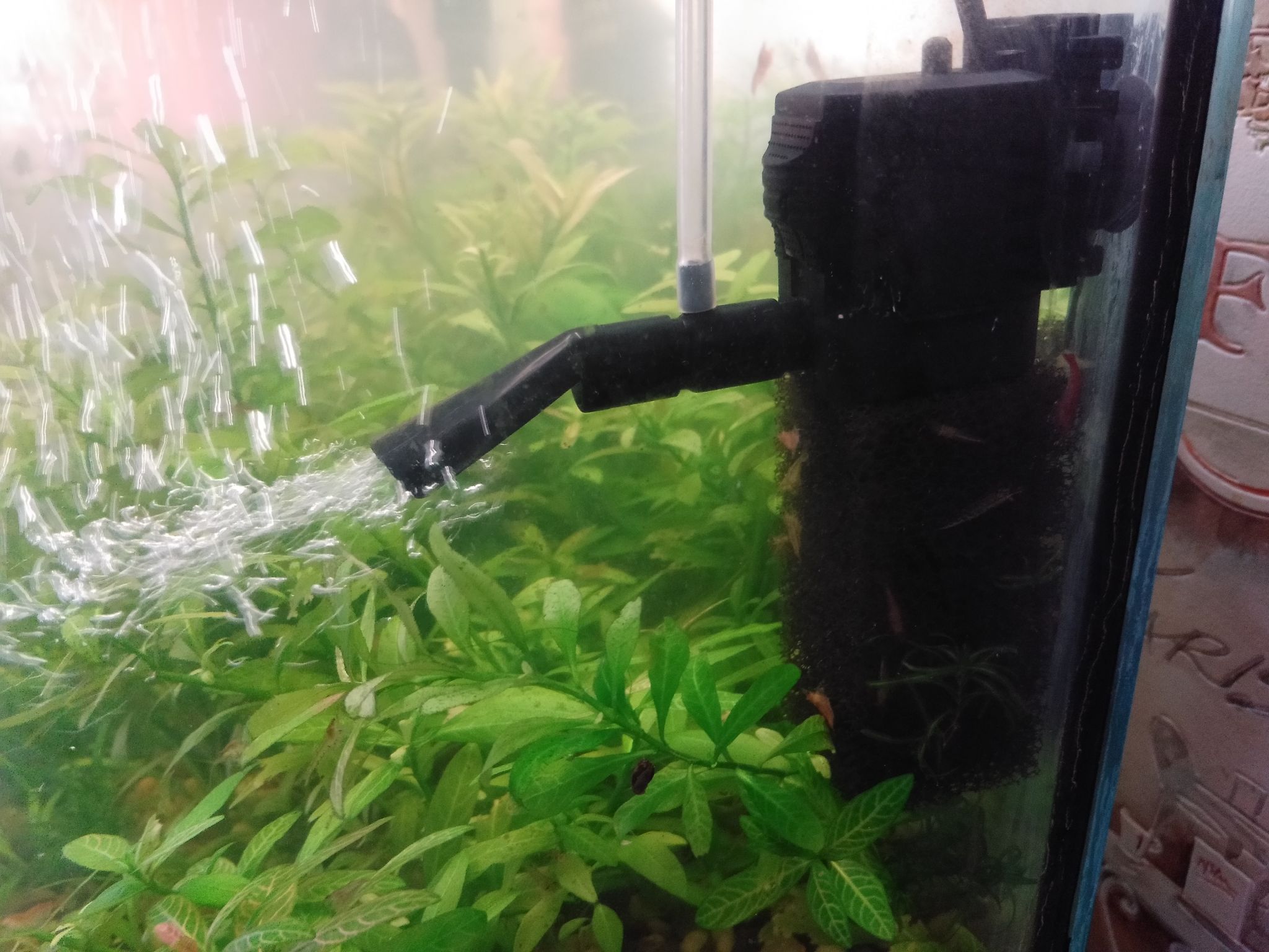 Как уменьшить течение от фильтра в аквариуме